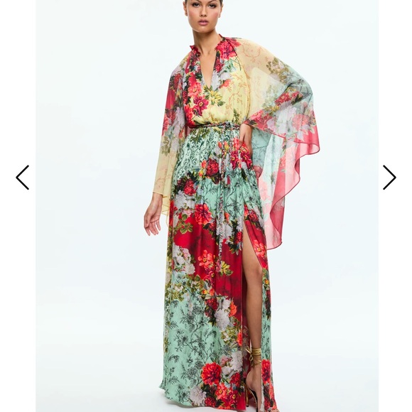 Alice + Olivia Dresses & Skirts - Alice + Olivia floral maxi dress. 2